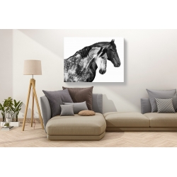 Wall art print and canvas. Pangea Images, Together