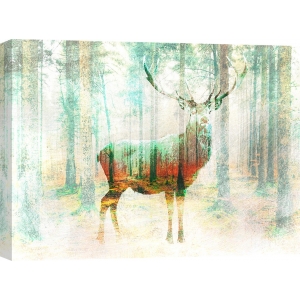 Tableau sur toile. Arlo Wren Photos, Lord of the Woods