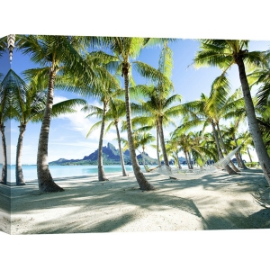 Quadro, stampa su tela. Amaca tra le palme a Bora Bora, Tahiti