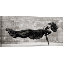 Wall art print and canvas. Julian Lauren, Black Swan
