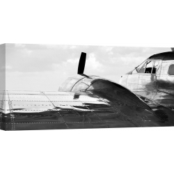 Wall art print and canvas. Monica Borboor, Vintage Aircraft