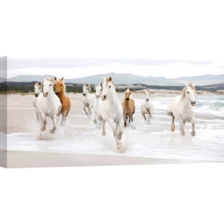Cuadros caballos en canvas. Caballos en la playa (detalle)