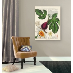 Wall art print and canvas. Remy Dellal, Seasonal Fruit, Figs