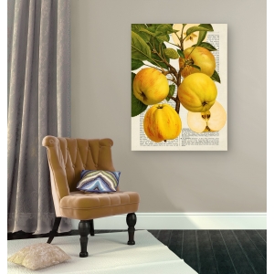 Leinwandbilder für Küche. Remy Dellal, Saisonale Früchte, Äpfel
