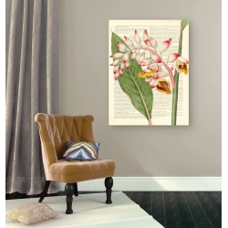 Wall art print and canvas. Remy Dellal, Vintage Botany II