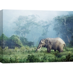 Tableau sur toile. Frank Krahmer, Éléphants d'Afrique, Tanzanie
