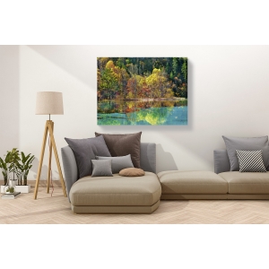Wall art print and canvas. Krahmer, Forest in autumn colours, Sichuan, China