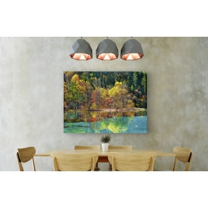 Cuadros naturaleza en canvas. Bosque con los colores del otoño, China