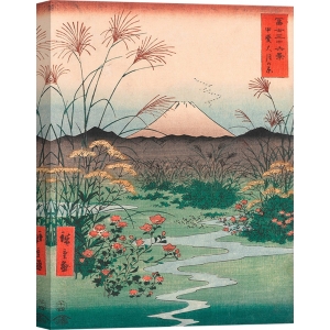 Tableau Japonais. Ando Hiroshige, La plaine d'Otsuki