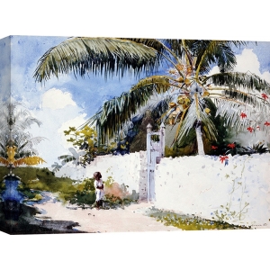 Cuadro en canvas. Winslow Homer, A Garden in Nassau