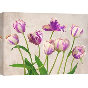Quadro, stampa su tela. Jenny Thomlinson, Tulipes