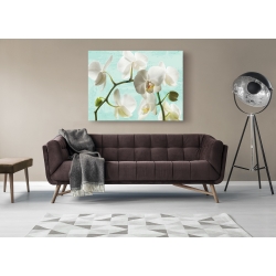 Wall art print and canvas. Jenny Thomlinson, Celadon Orchids