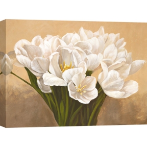 Wall art print and canvas. Leonardo Sanna, White Tulips