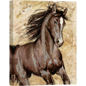 Leinwandbilder. Luigi Florio, Majestätisches Pferd