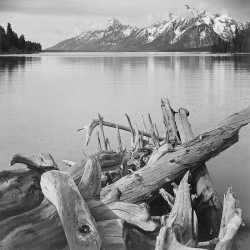 Stampa foto bianco e nero Ansel Adams. Grand Teton National Park