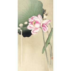Stampa giapponese. Ohara Koson, Uccello canterino e fiore di loto