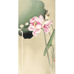 Tableau toile, affiche, poster Ohara Koson, Oiseau chanteur et lotus