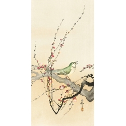 Cuadro japonés, poster y lienzo, Ohara Koson, Pájaro cantor en una rama