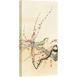 Stampa giapponese. Ohara Koson, Uccello su un ramo di prugno in fiore