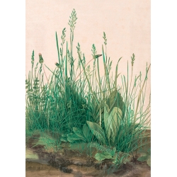 Wall art print, canvas and poster by Durer, The Great Piece of Turf