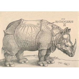 Wall art print, canvas and poster by Durer, Rhinoceros