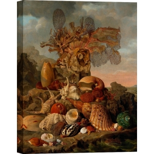 Cuadro, poster y lienzo, Wiertz, Conchas y plantas marinas
