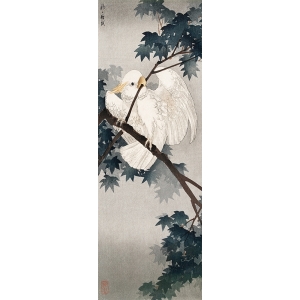 Tableau toile, affiche, poster Ohara Koson, Perroquet cacatoès