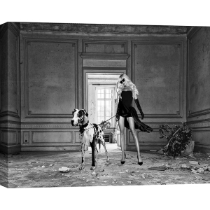 Art print, canvas, poster. Woman with dog in decayed palace, BW