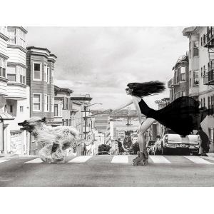 Art print, canvas, poster. Julian Lauren, Skating in San Francisco