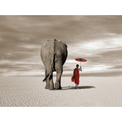 Art print with buddhist monk and elephant. Moreau, In the plains