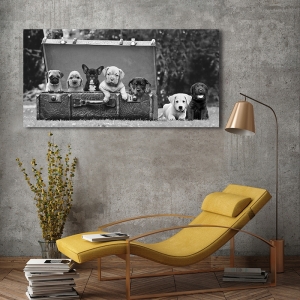 Quadro su tela, poster con cagnolini. Pangea Images, Cuccioli