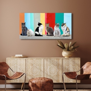Wall art print, canvas, poster with Cats in the Sun