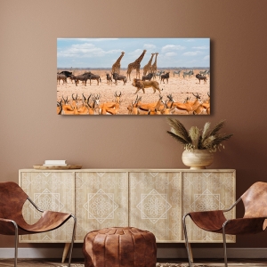 Quadro con leone, tela, poster. Il re della savana (Masai Mara)