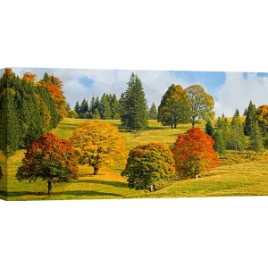 Cuadro en lienzo y poster con paisaje de otoño, Quebec