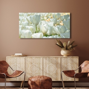 Floral wall art print and canvas. Luca Villa, Field of White Tulips