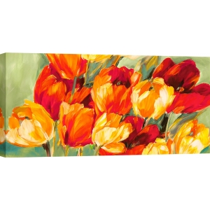 Floral wall art print and canvas. Jim Stone, Tulip field