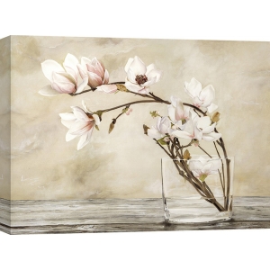 Cuadros de flores en canvas. Cristina Mavaracchio, Flores de magnolia