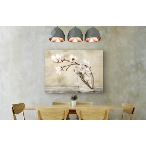 Leinwandbilder mit blumen. Cristina Mavaracchio, Magnolia Flowers