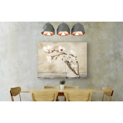 Wall art print and canvas. Cristina Mavaracchio, Magnolia Flowers