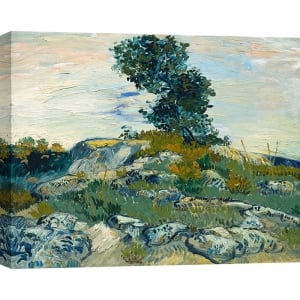 Quadro di Vincent van Gogh, Le Rocce (Rocce con quercia)