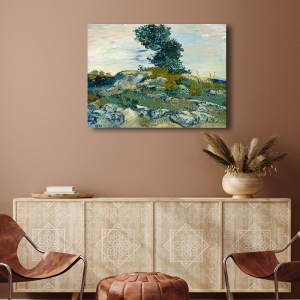 Cuadro en lienzo y poster Vincent van Gogh, Las Rocas