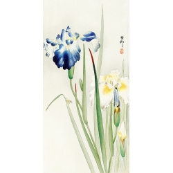 Japanese art print, canvas, poster Ohara Koson, Irises