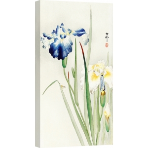 Cuadro japonés en lienzo, poster Ohara Koson, Iris