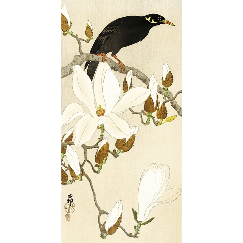 Tableau japonais de Ohara Koson, Étourneau sur une de magnolia