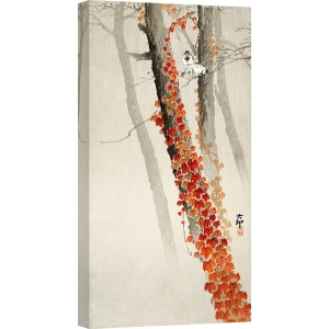 Tableau japonais de Ohara Koson, Lierre rouge. Toile, affiche, poster