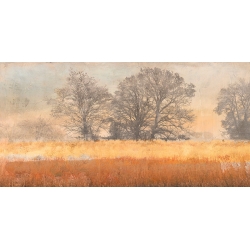 Kunstdruck, Leinwandbilder Bäume im Nebel von Alessio Aprile