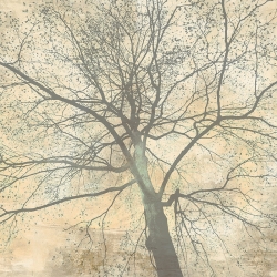 Kunstdruck, Leinwandbilder Below My Tree II (detail) von Alessio Aprile