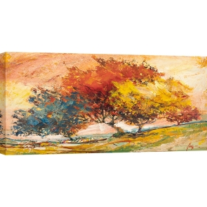Kunstdruck, Leinwandbilder, Bäume in der Sonne von Luigi Florio