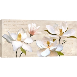 Wall art print and canvas, Ivory Magnolia by Luca Villa