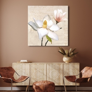 Cuadro en lienzo y lámina enmarcada, Ivory Magnolia I, Luca Villa